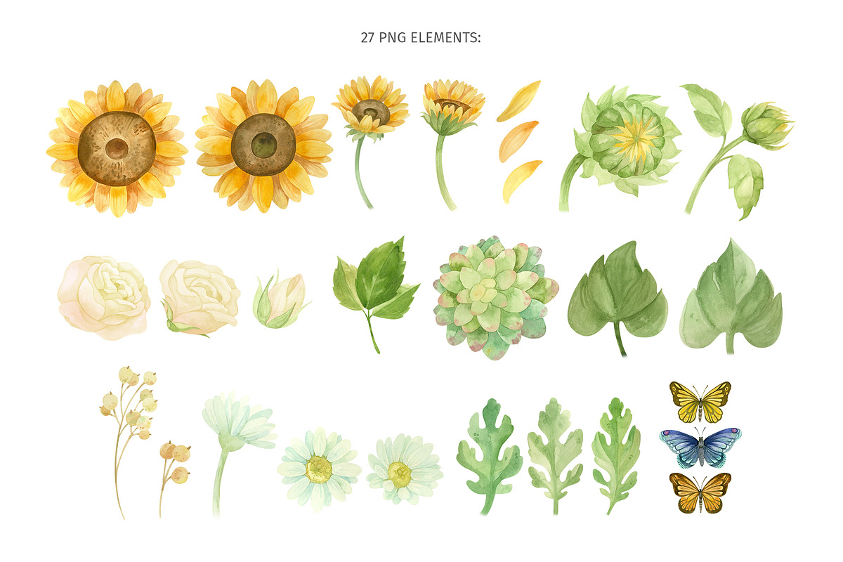 Sunflowers clipart, patterns, frames, a Decorative Illustration by Valin Malin (Photo 2 of 16)