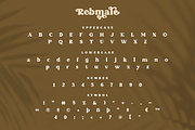 Rebmale Modern Serif, a Serif Font by Moodtype (Thumbnail 6 of 7)