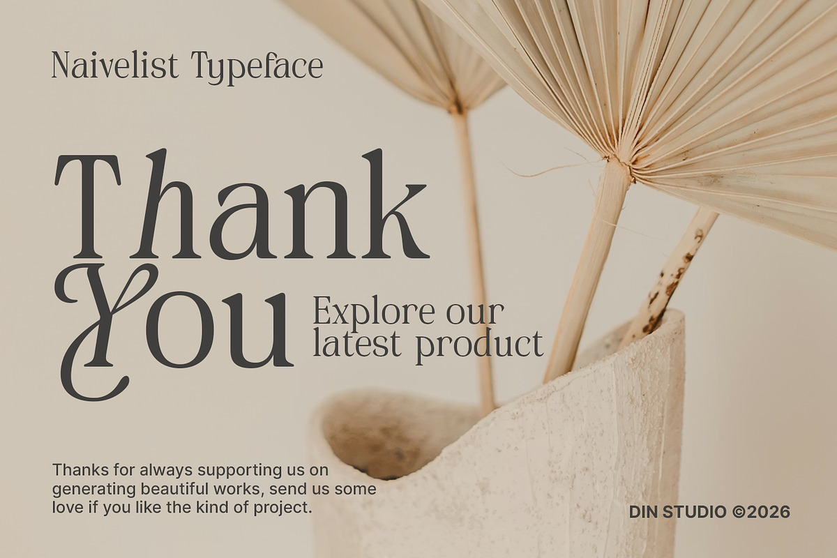 Naivelist, a Serif Font by din-studio.com (Photo 10 of 10)