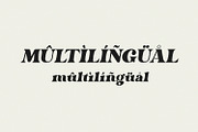 Dorige – Modern Retro Serif Font, a Serif Font by Issam Type (Thumbnail 9 of 13)