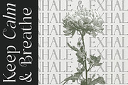 Sainer Bagora Modern Serif, a Serif Font by timelesstype.co (Thumbnail 4 of 20)