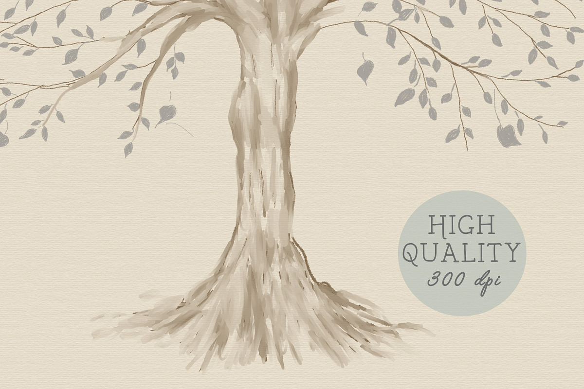 Family tree clipart, trees clipart,, an Illustration by CommercialCliparts (Photo 2 of 3)