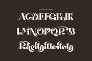 Ragita Elegant Ligature Serif Font, a Serif Font by Perfectype (Thumbnail 8 of 8)