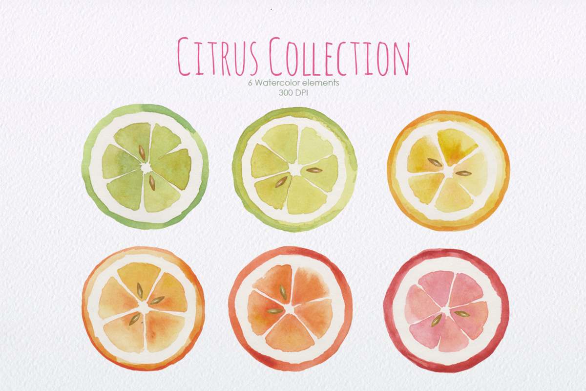 Citrus Collection, a Pattern Graphic by oKOLOstyle (Photo 4 of 5)