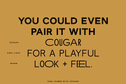 Karl – Cool Sans w Unique Alternates, a Sans Serif Font by Local Desk Designstudio (Thumbnail 16 of 28)
