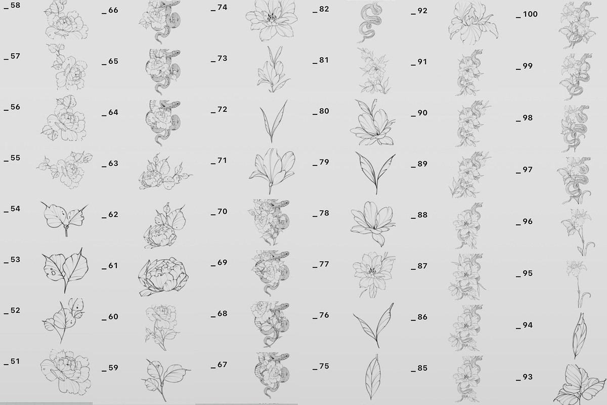 Procreate Snake stamps with flowers., a Brushes & More by AnnaPolitmerskaja (Photo 4 of 8)