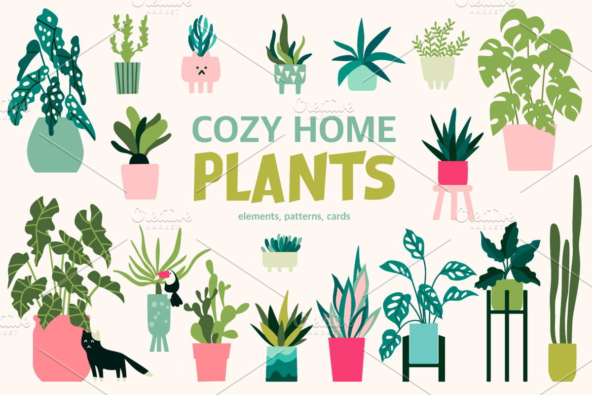 Cozy Home PLANTS, an Animal Illustration by Rimma (Photo 1 of 4)