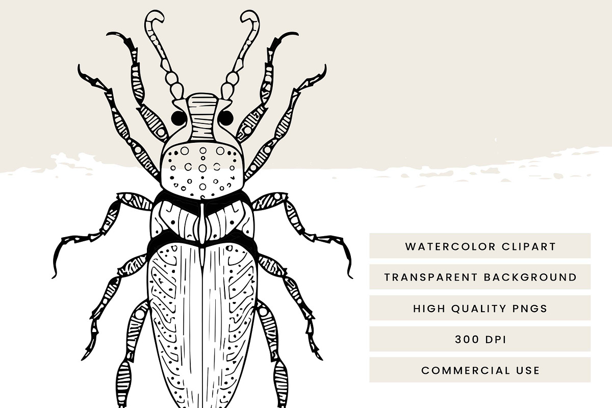 Line Art Magic Elements Clipart, an Object Illustration by Design Scotch (Photo 7 of 8)