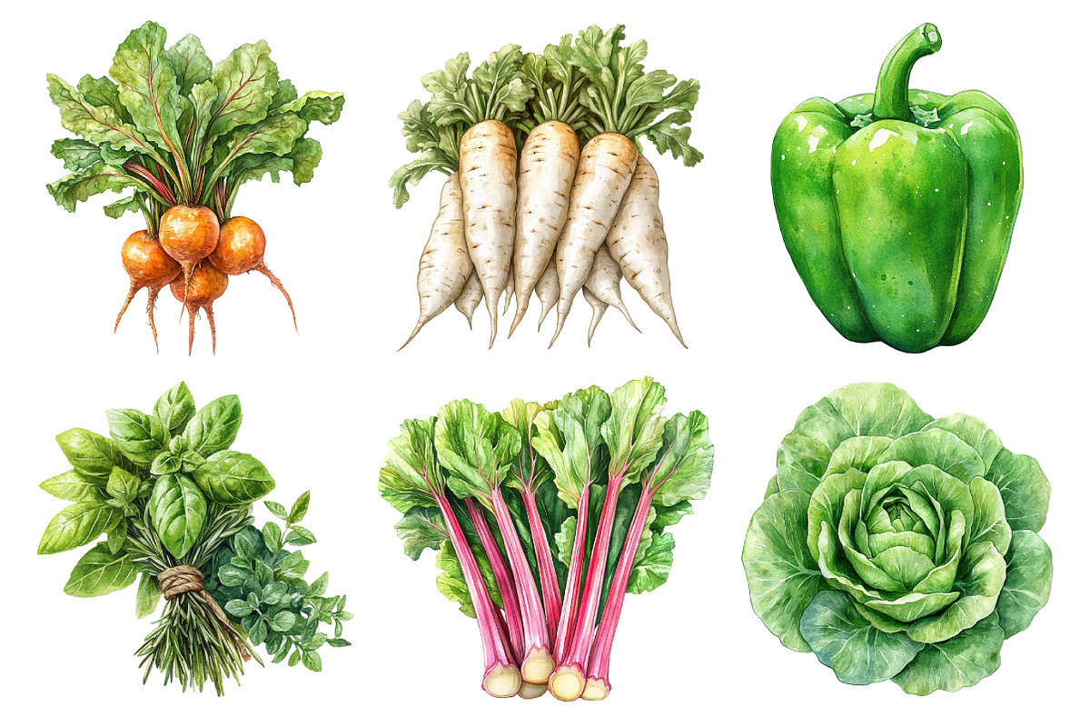 Watercolor Vegetable Collection Clip, an Illustration by Daily.Designs (Photo 4 of 5)