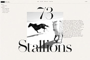 Evangelina - Fashion Display Font, a Font by Tropical Type (Thumbnail 3 of 13)