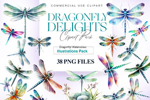 Watercolor Dragonfly Clipart, Insect