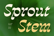 CS Flare Drawn, a Sans Serif Font by Craft Supply Co. (Thumbnail 2 of 8)