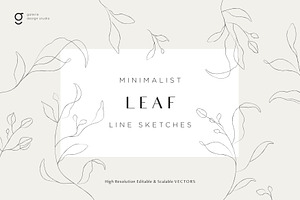 Minimalist Leaf Line Sketches