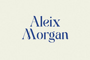 Mondeba Modern Serif Font, a Serif Font by Heinzel Std (Thumbnail 2 of 13)