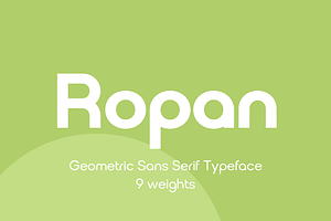 Ropan Font Family, a Sans Serif Font by Larin Type Co.