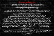 Sauvage - Monoline Script Family, a Script Font by Jvne77 (Thumbnail 6 of 6)