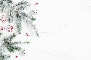 Christmas background stock photo containing winter and fir