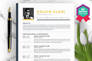 Resume/CV Bundle | 200+ for $29, a Resume Template by ResumeInventor (Thumbnail 166 of 207)
