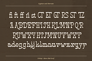 Erikoji | Retro Slab Serif, a Slab Serif Font by Denustudios (Thumbnail 16 of 16)
