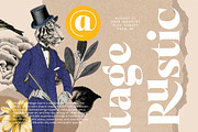 Night Roasty Modern Serif Font, a Script Font by timelesstype.co (Thumbnail 17 of 20)
