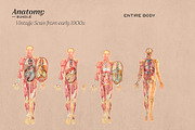 Anatomy Collage Elements 200+, an Illustration by Francesco Stefanini (Thumbnail 9 of 10)