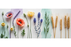 Flat lay of colorful wildflowers, an Illustration by tilialucida