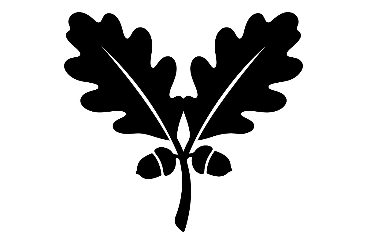 Maple Leaf Acorn Autumn, an Object Graphic by Gfx_Store (Photo 14 of 18)
