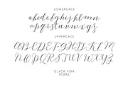 Sahara Script, a Script Font by Genesis Lab (Thumbnail 7 of 7)