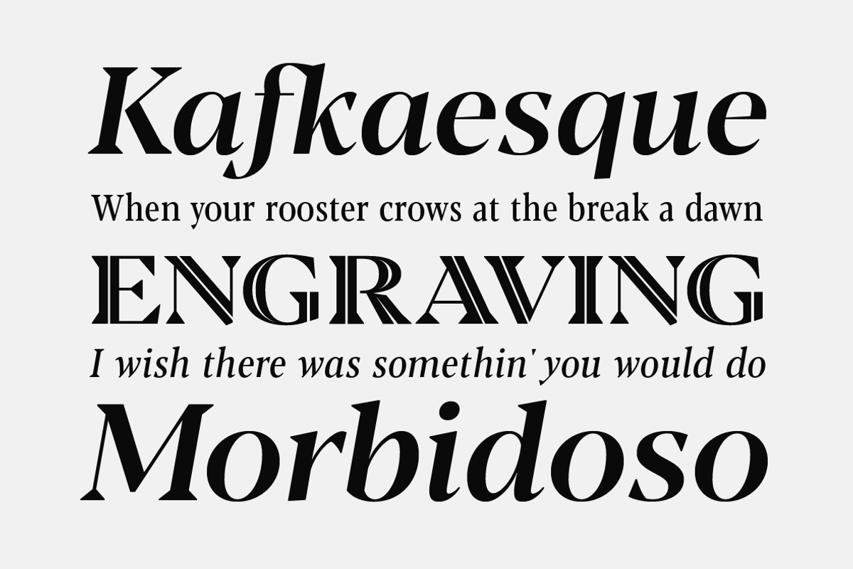 Blacker Pro - 69 fonts, a Serif Font by Zetafonts (Photo 3 of 18)