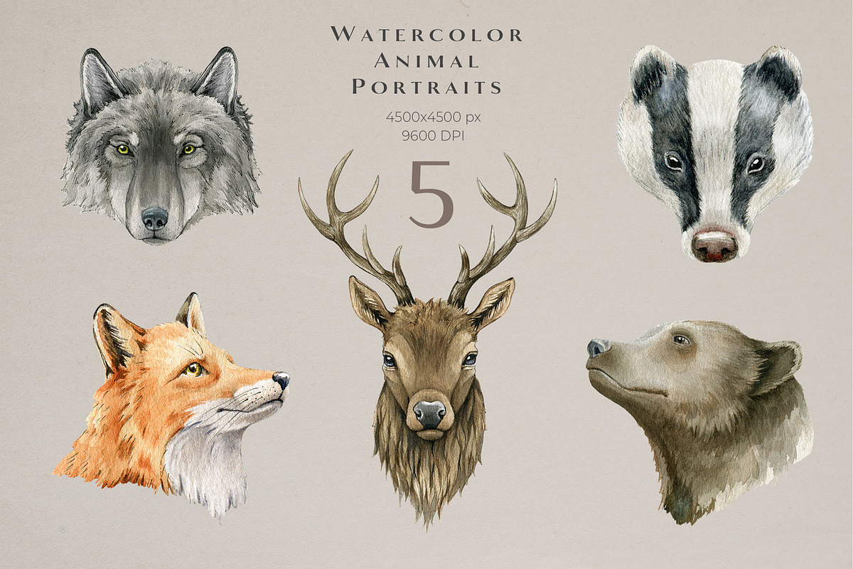 Forest Animals Watercolor Clipart, an Animal Illustration by AnitaPol (Photo 6 of 19)