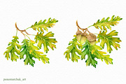 Watercolor Fall acorns collection, a Texture Illustration by Colibri Watercolor (Thumbnail 4 of 5)