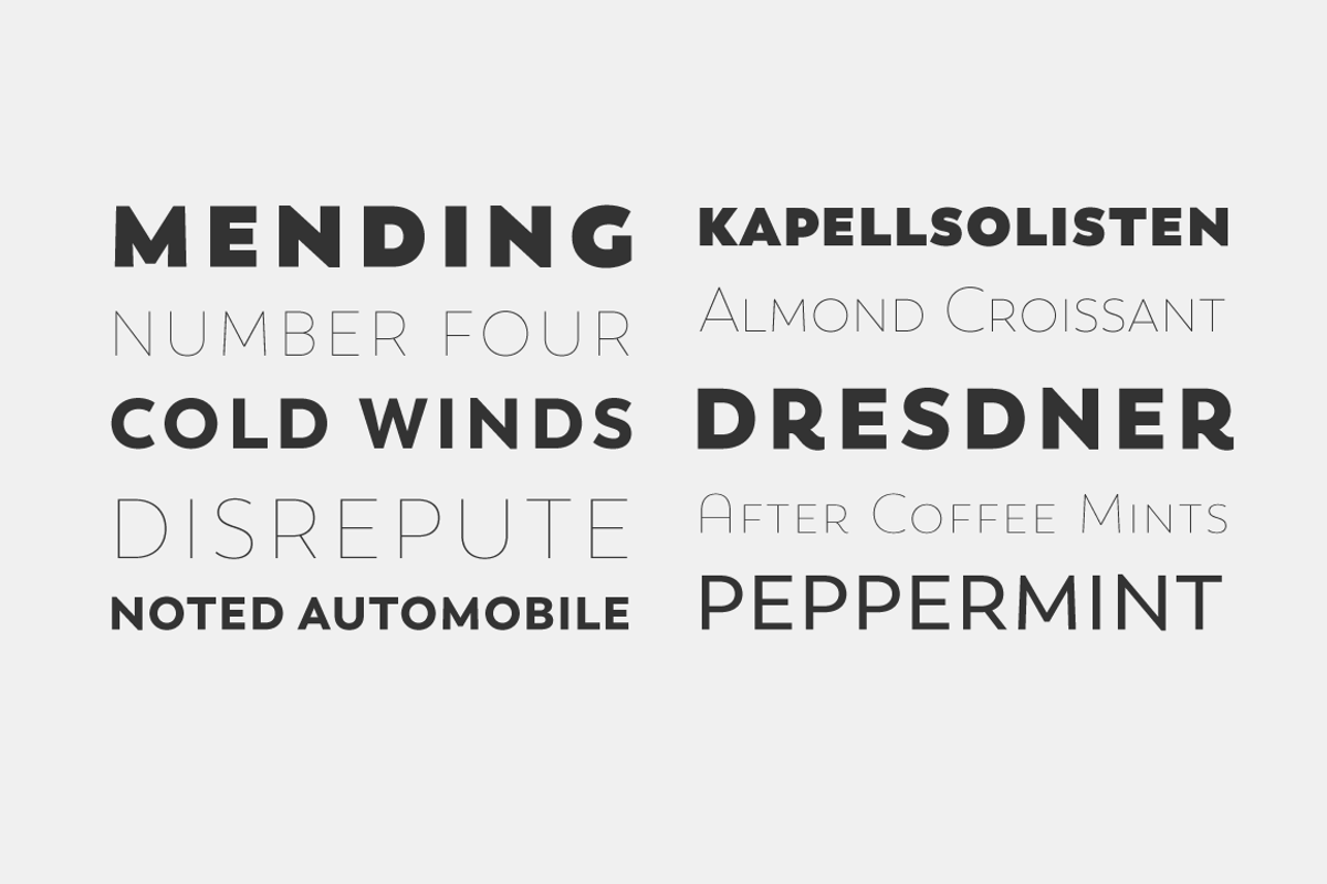Trenda, a Sans Serif Font by Latinotype (Photo 4 of 15)