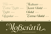 Dh Milate - 16 Beauty Elegant Family, a Serif Font by Dharmas Foundry (Thumbnail 3 of 17)