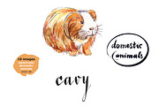 Watercolor vector domestic animals, an Animal Illustration by miminoshka (Thumbnail 5 of 8)