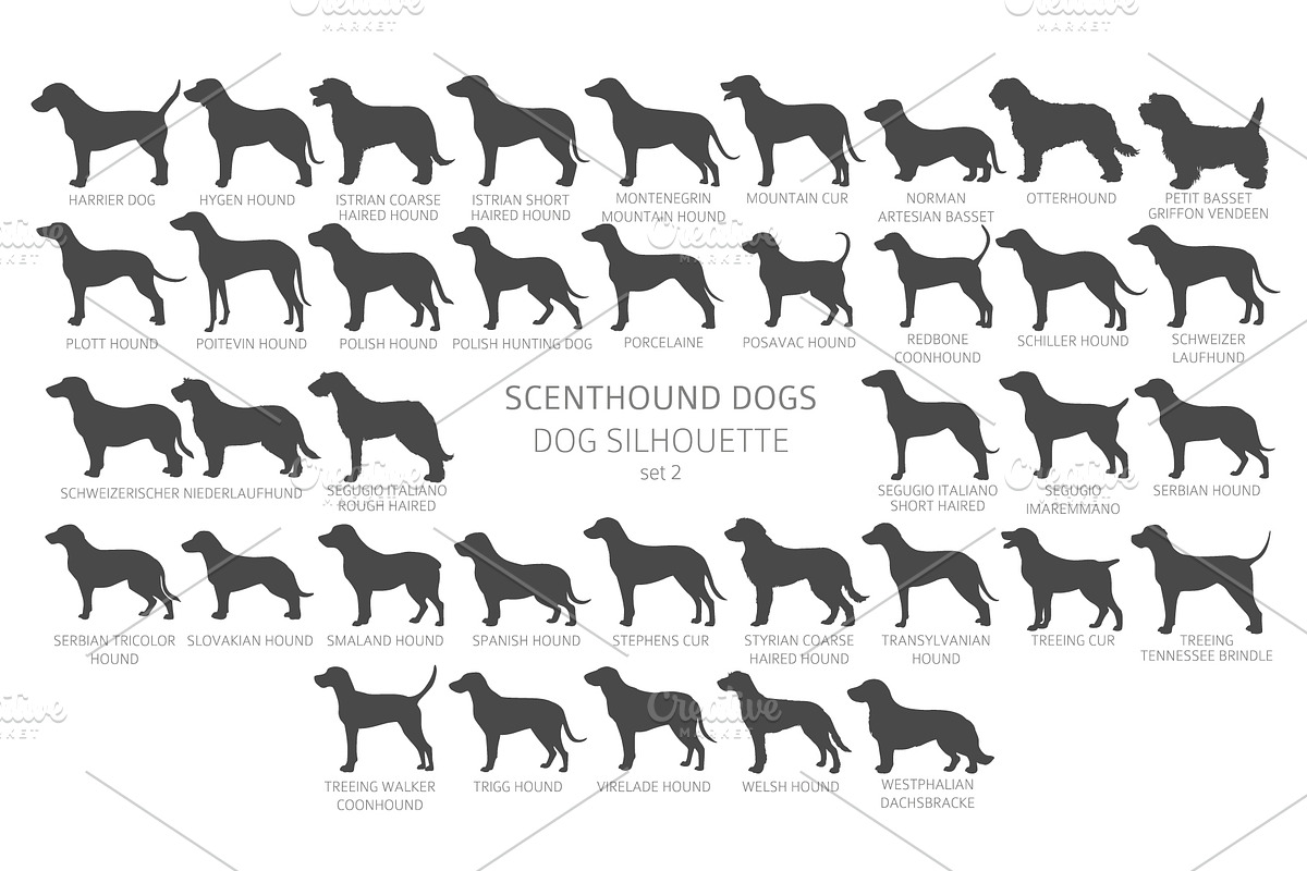 Scenthound (Hunting Dogs) Silhouette, an Animal Illustration by pet design shop (Photo 6 of 11)