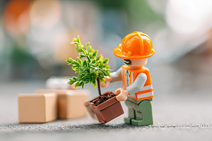 Delivery worker planting a small tree in a pot in a busy outdoor environment, a Photo by AlyaAnd