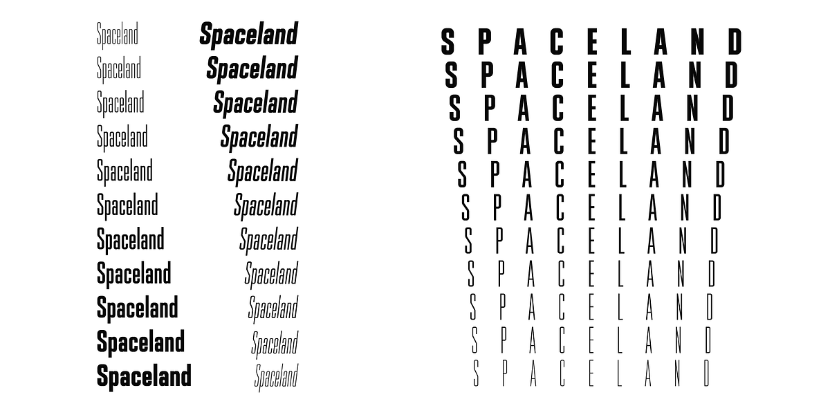 Spaceland, a Sans Serif Font by Pepper Type (Photo 2 of 14)
