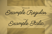 Sweet Talker - Monoline Script style, a Script Font by mahstudios (Thumbnail 7 of 8)
