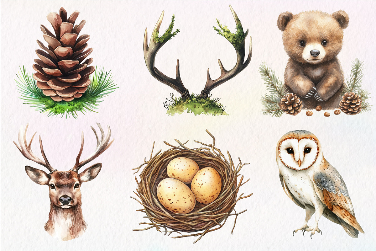 Vintage Woodland Watercolor Clipart, an Illustration by Dream Creation (Photo 5 of 7)
