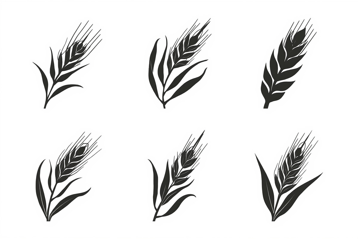 Rustic Wheat Silhouette Design, an Illustration by hafijul (Photo 4 of 9)