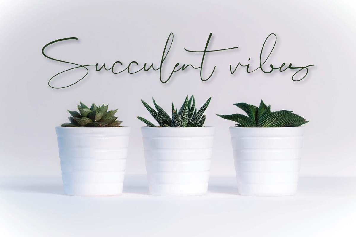 Lovely Script Bundle, a Script Font by Digital Hustler (Photo 32 of 33)