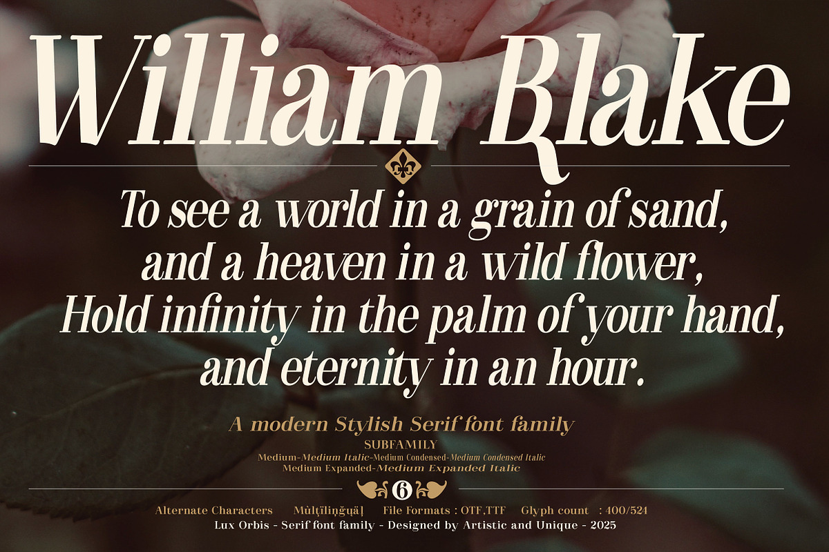Lux Orbis - Serif font family, a Font by Artistic & Unique (Photo 10 of 15)