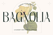 Bagnolia - Serif Display, a Serif Font by Nirmana Visual (Thumbnail 1 of 11)