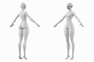 Stylized Female 02 Fine Shape Mesh