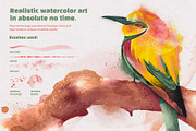 Wet & Dry Procreate Brush Set, a Brush Add-On by Shoutbam (Thumbnail 4 of 15)