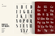 Mael – Luxury Editorial Serif, a Serif Font by FactoryType Studio (Thumbnail 5 of 11)