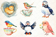 Lovely Birds Clipart Bundle, an Illustration by DreamCafeArt (Thumbnail 4 of 5)