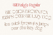 The Kaluge + BONUS ILLUSTRATIONS, a Serif Font by Alcode (Thumbnail 19 of 23)