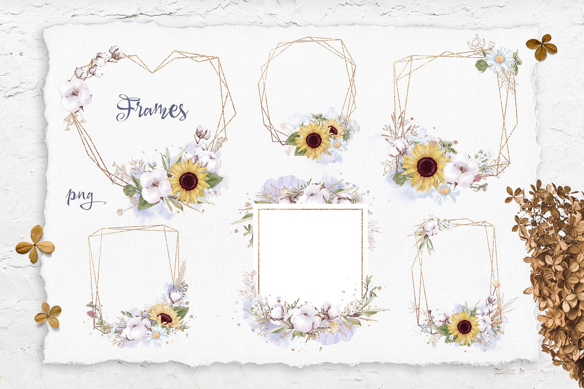 Watercolor Sunflowers and Cotton, an Illustration by Yuliya Art (Photo 14 of 24)