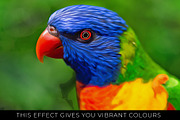 The Digital Art Collection, an Action Add-On by Dene Studios (Thumbnail 31 of 34)